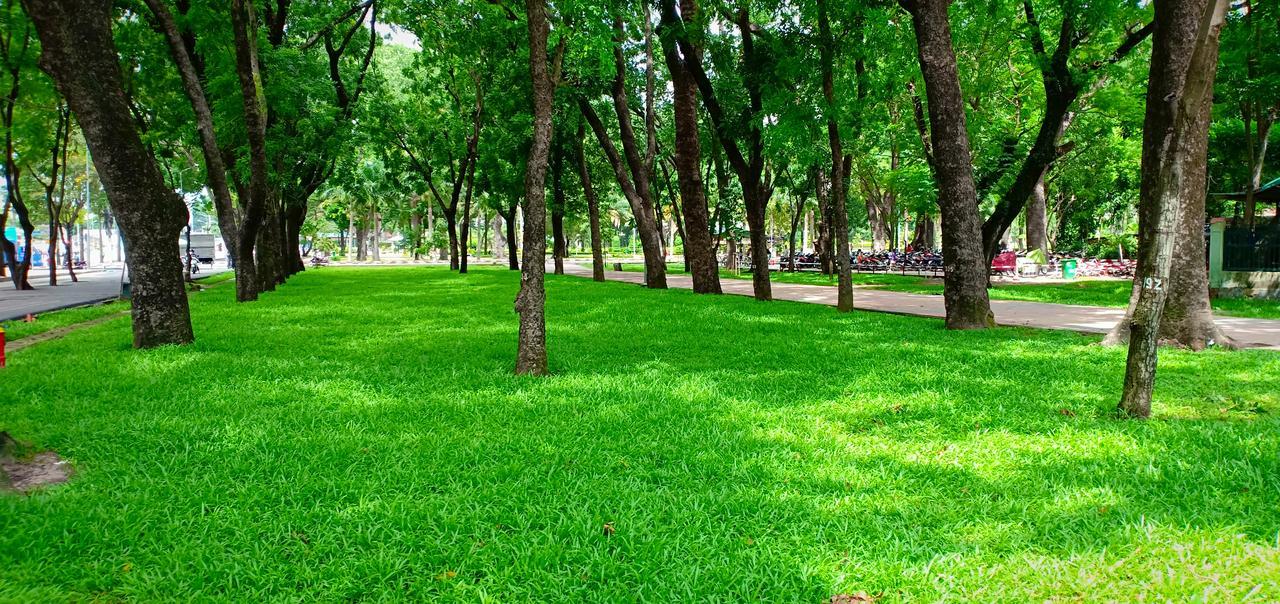 Your Best Studio Near Airport Ho Chi Minh City